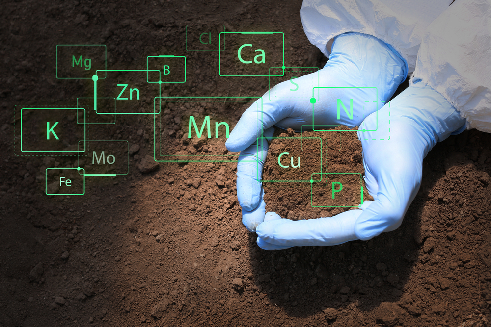 Best Tips to Improve Soil Health on Farmland