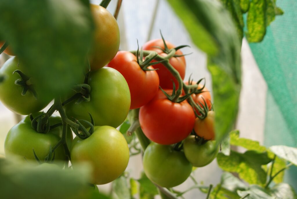Building Machines, Building Global Agriculture!