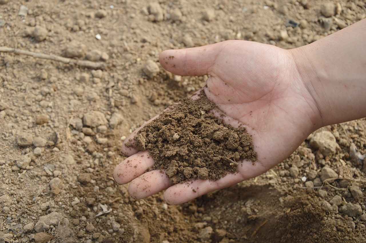 Find out the Different Types of Soil in Australia