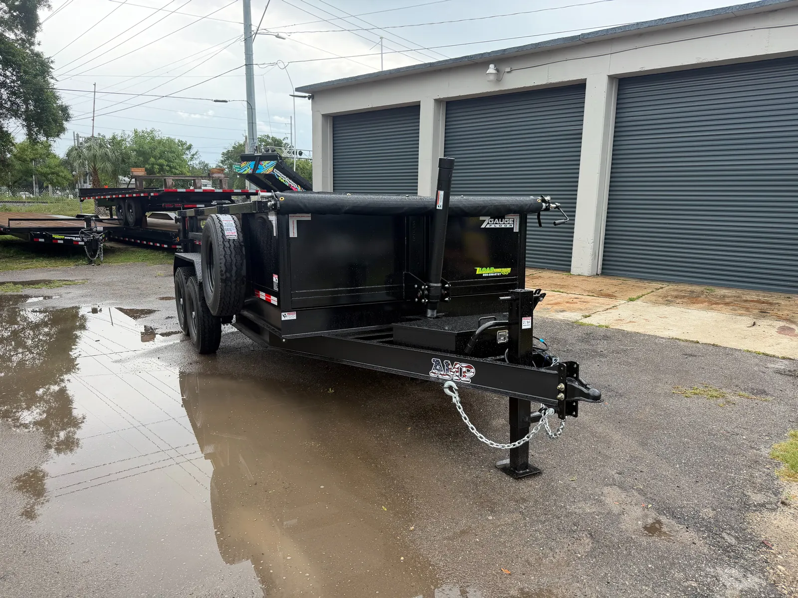 2026 AMP