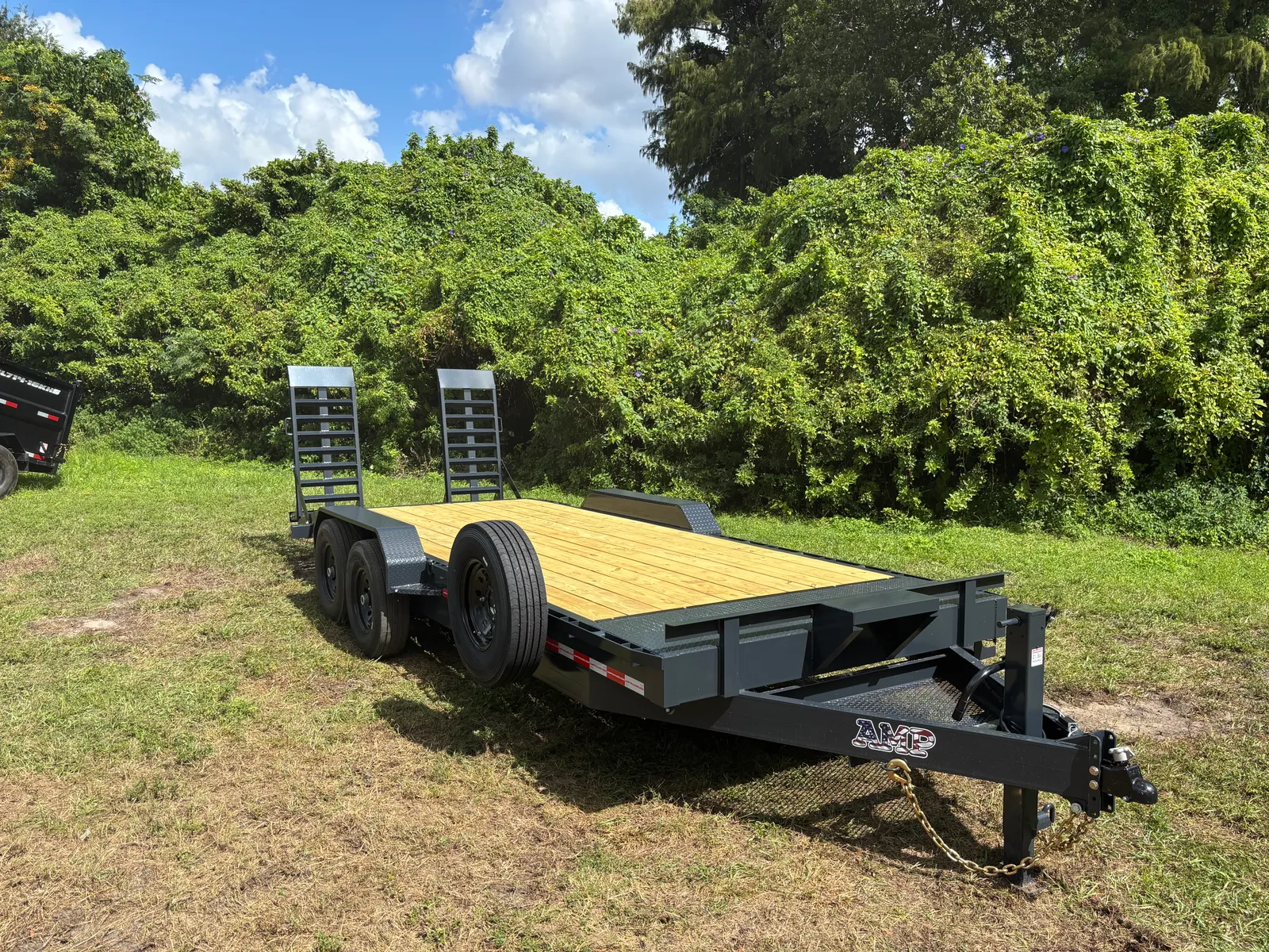 2026 AMP